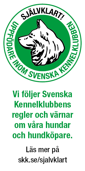 SKK-uppfödare