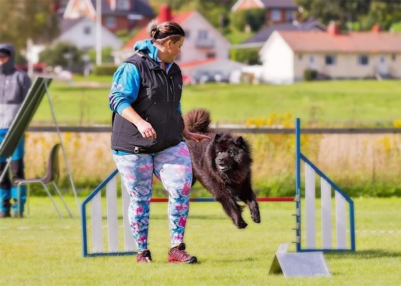 Madde kör agility med Cactus