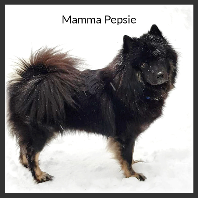Mamma Pepsie