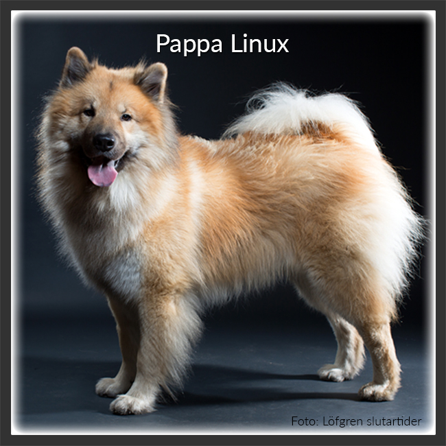 Pappa Linux