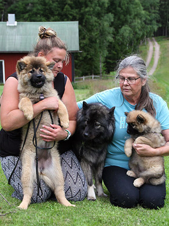 Om Kathakali's Eurasier